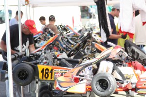 IMG_3795